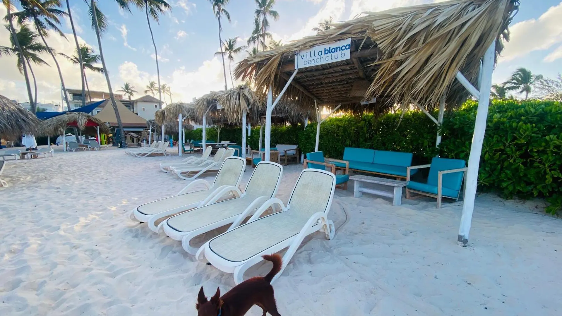 Playa Los Corales Punta Cana Bavaro Apartment